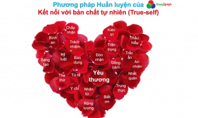 ĐƯỜNG VỀ HẠNH PHÚC